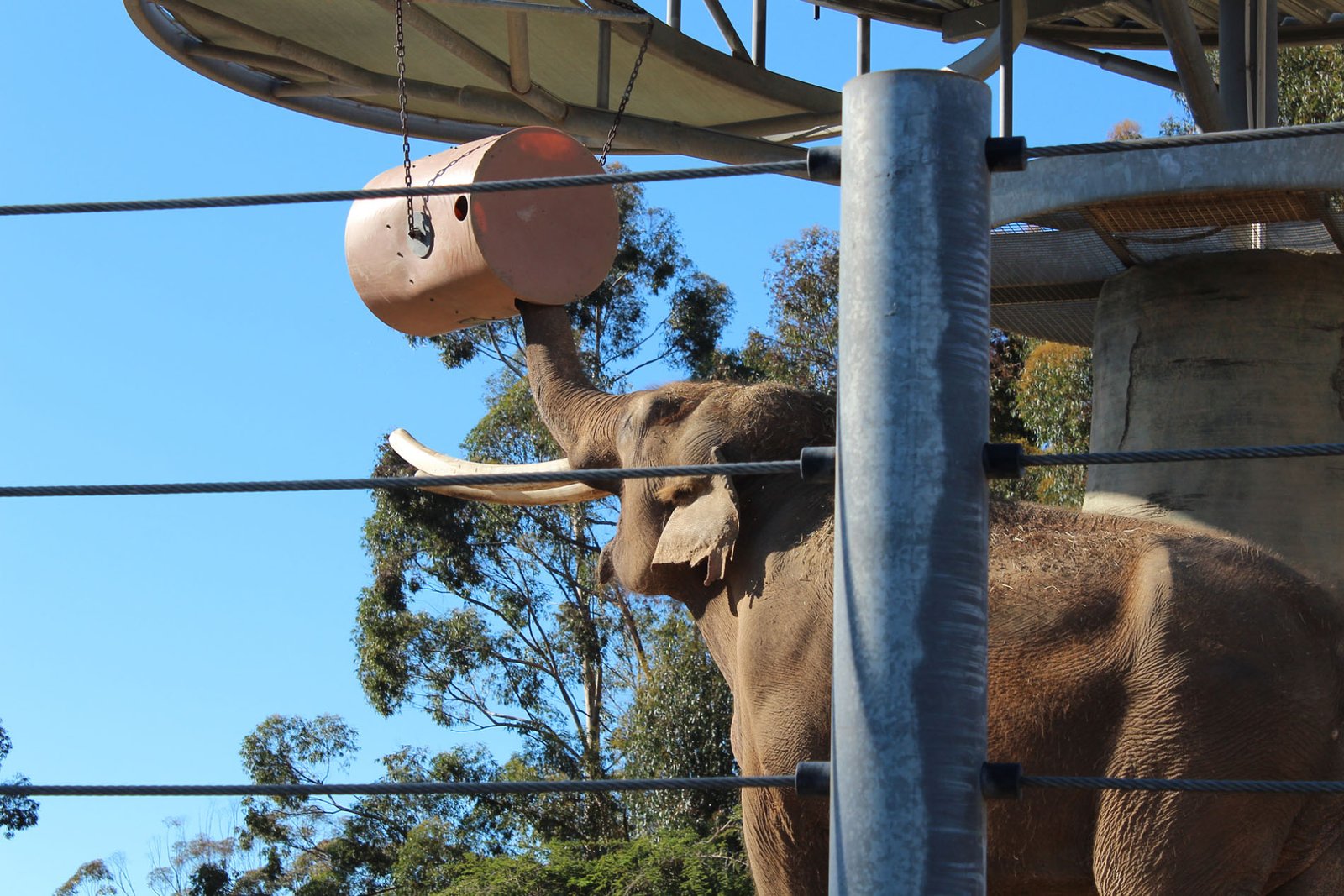 San Diego Zoo Part II 036